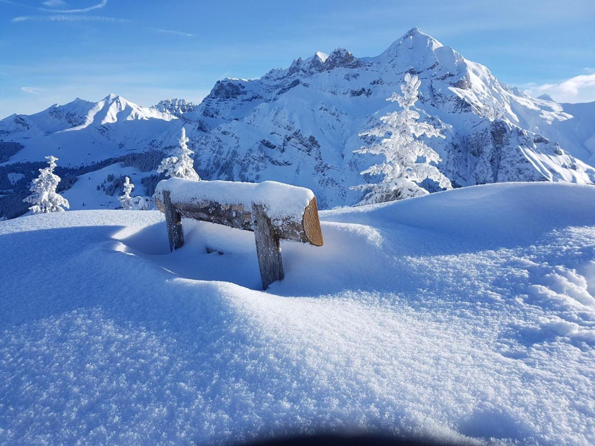 Apartment Laerchehuus By Interhome Adelboden Exterior foto