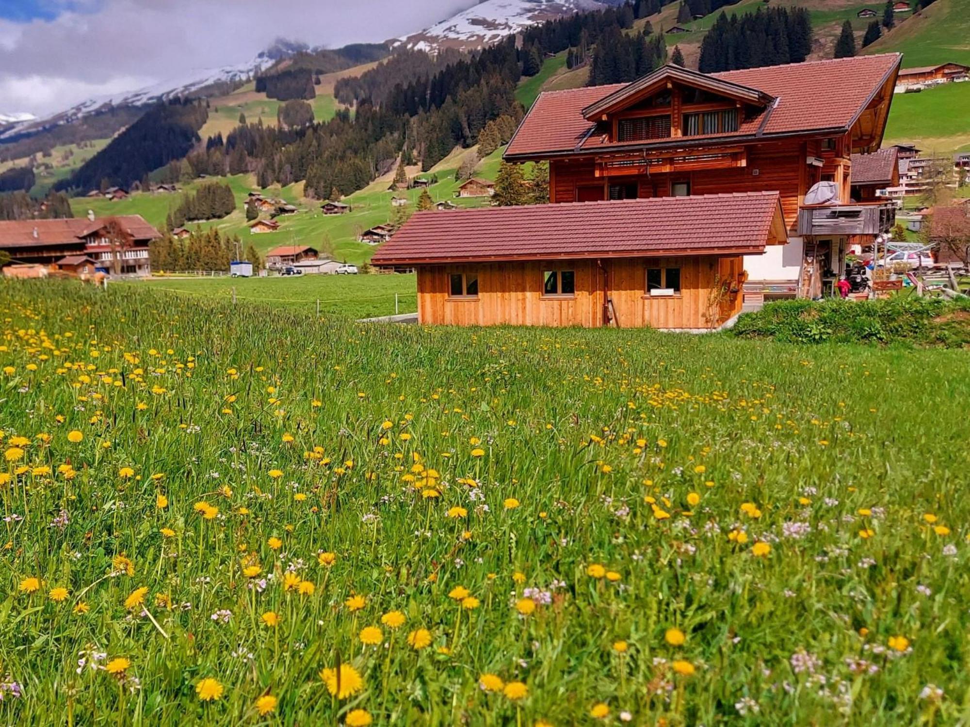 Apartment Laerchehuus By Interhome Adelboden Exterior foto